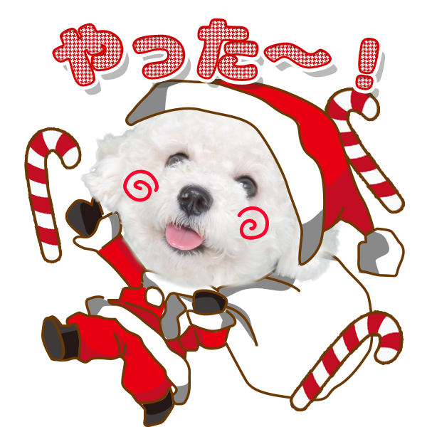 クリスマス☆わんちゃん クリスマスセット | わんちゃんホンポ-オリジナルLINEスタンプ