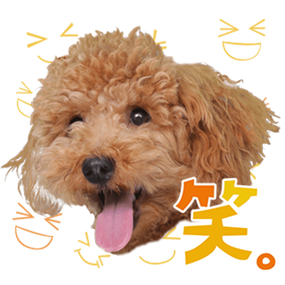 61b73262ecd057482862c74f