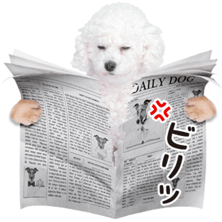 61b7346e7398917affe8d3e8