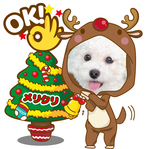 クリスマスセット | わんちゃんホンポ-オリジナルLINEスタンプ