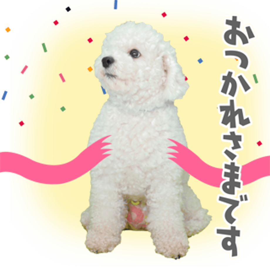 61b733db4adba05892ec2842