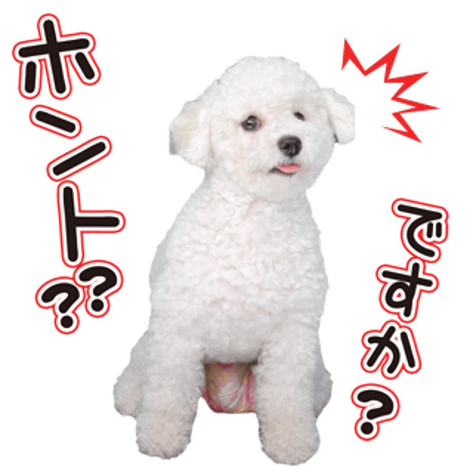 61b733add5ffeb72fd88c571