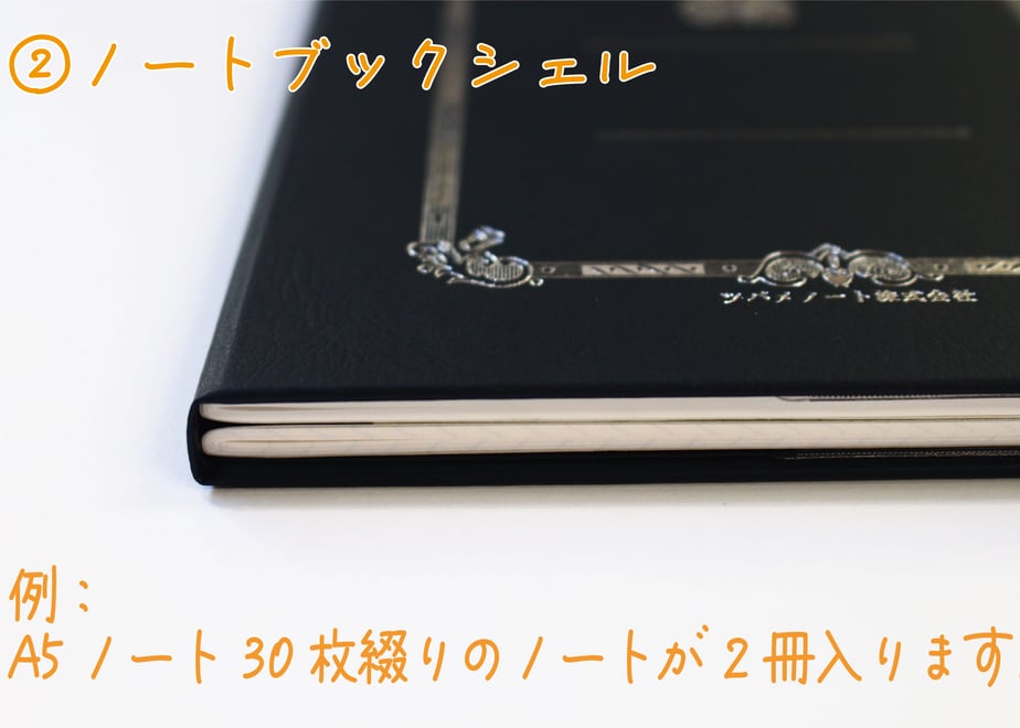 66c55c51941bd60402774744