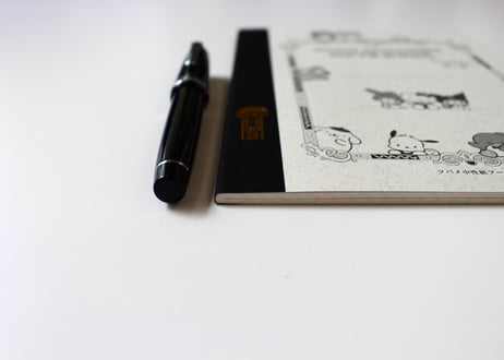 A5サンリオキャラクターズ(TBM9023) 2冊パック