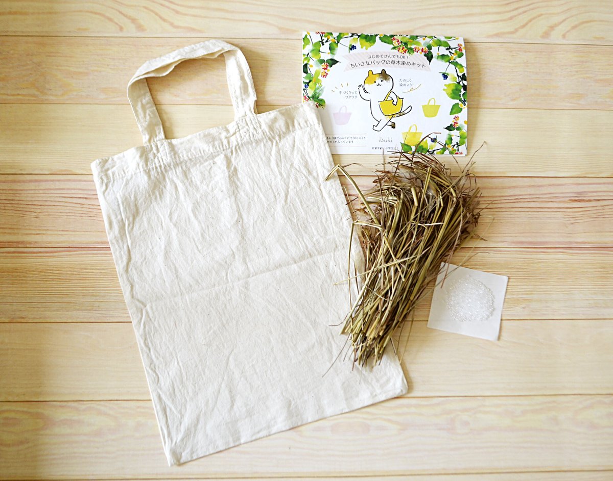 体験キット》ちいさなバッグの草木染めキット：送料込 | engawa-marche