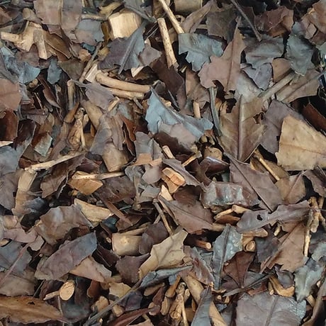 三年熟成番茶