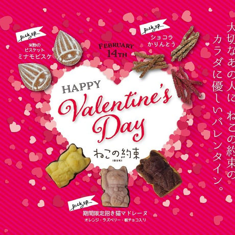 【季節限定】招き猫マドレーヌ  　スペシャルチョコ2種