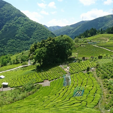 【岐阜土産ギフト】ぎふ長良川セット①