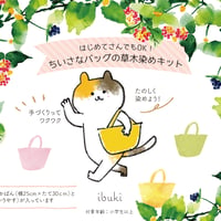 《体験キット》ちいさなバッグの草木染めキット：送料込