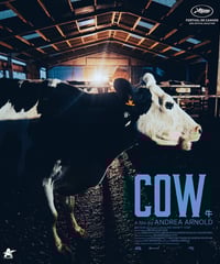 コワすぎ！コアすぎ? Blu-ray BOX | albatros-film-shop