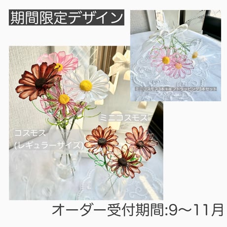 【期間限定・制作日数10日〜】コスモス/ミニコスモス1本