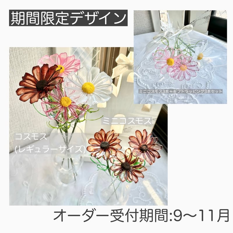 期間限定・制作日数10日〜】コスモス/ミニコスモス1本 | cuore