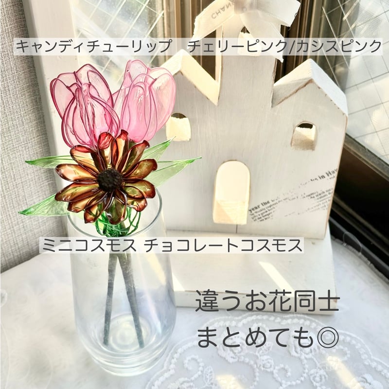 期間限定・制作日数10日〜】コスモス/ミニコスモス1本 | cuore