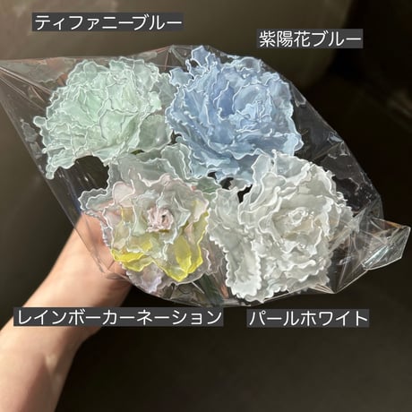 レインボーカーネーション　1本