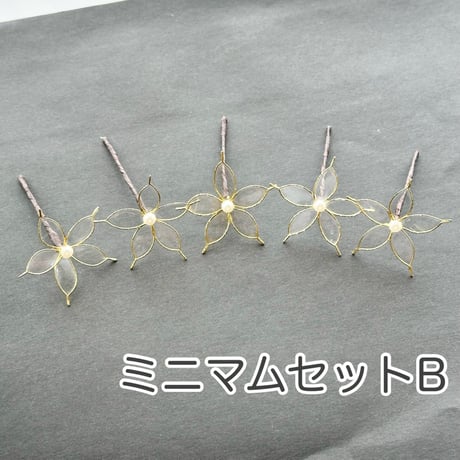【即納・7日以内に発送】ミニマムセット　全5種
