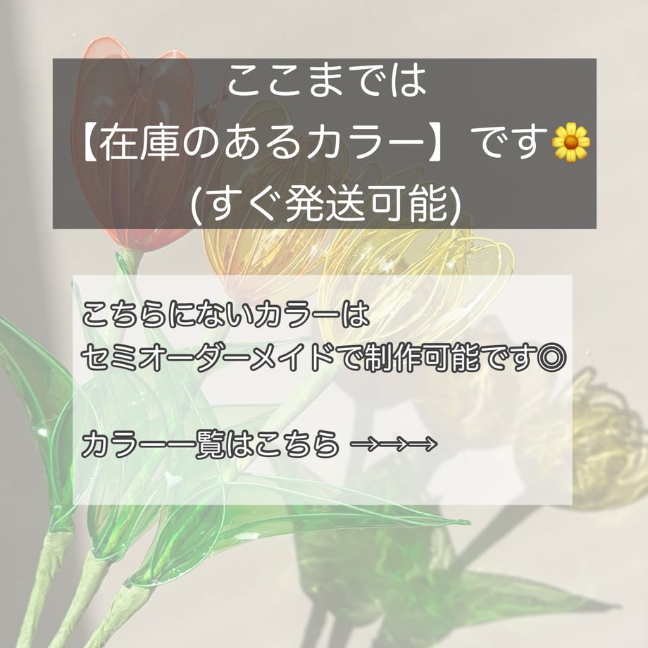 697b48874adcc2fe08fa4a80