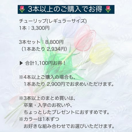 チューリップ(レギュラーサイズ)1本/3本