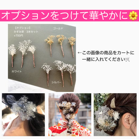 【即納・7日以内に発送】スタンダードセット　全5種