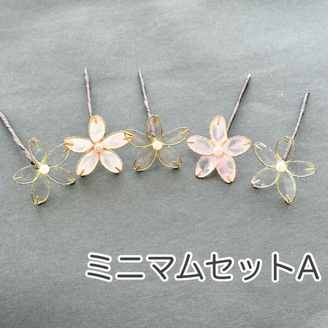 【即納・7日以内に発送】ミニマムセット　全5種