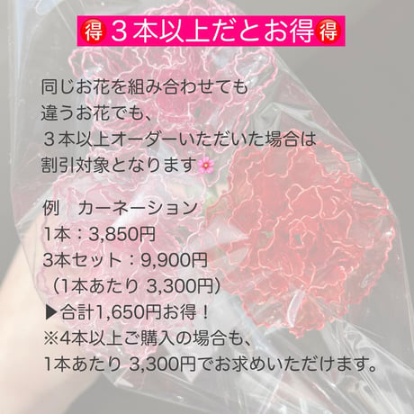 カーネーション　1本/3本