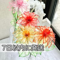 【即納・7日以内に発送】ダリア 1本/3本セット