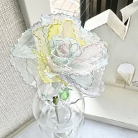 レインボーカーネーション　1本