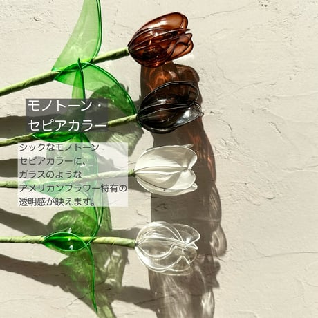 【カラーチャート】
