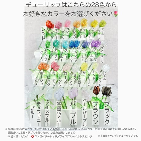 【カラーチャート】