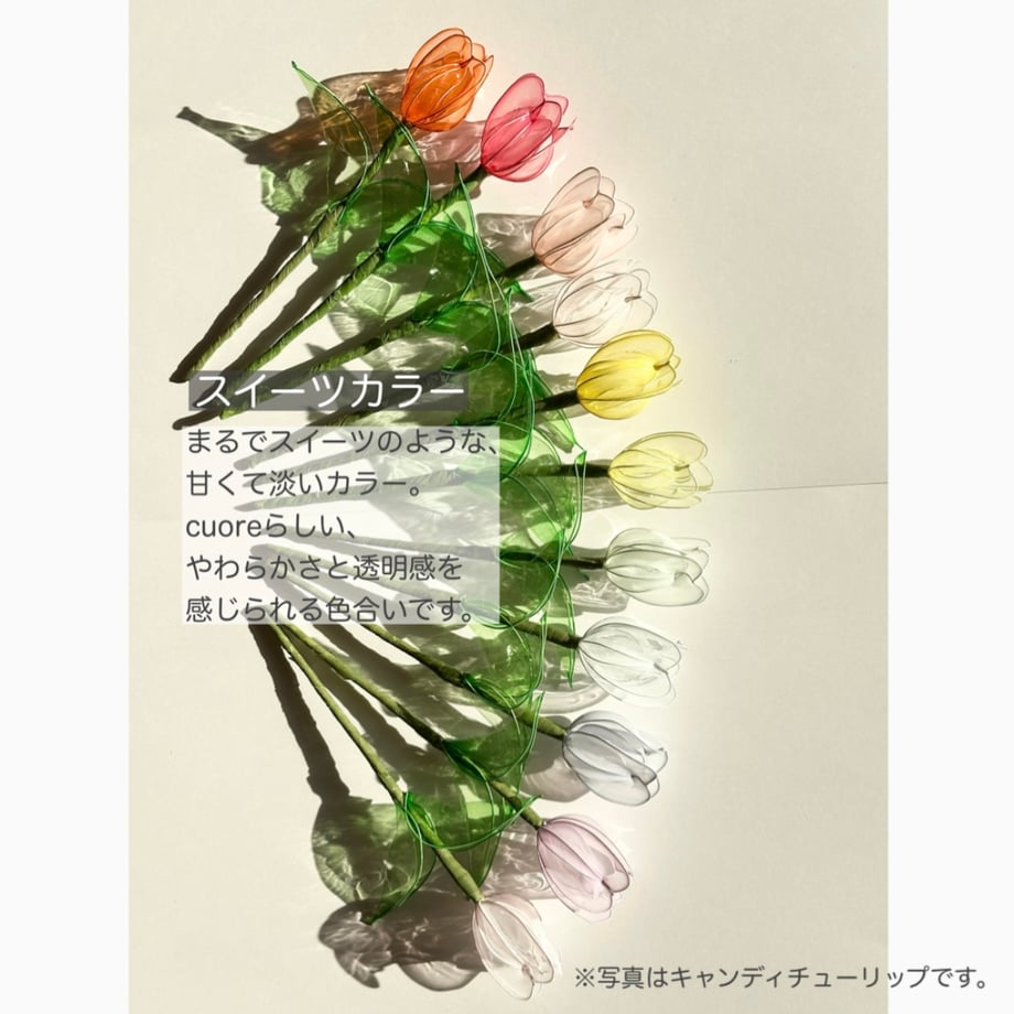 68403dbf173c4a23b84f2c9a
