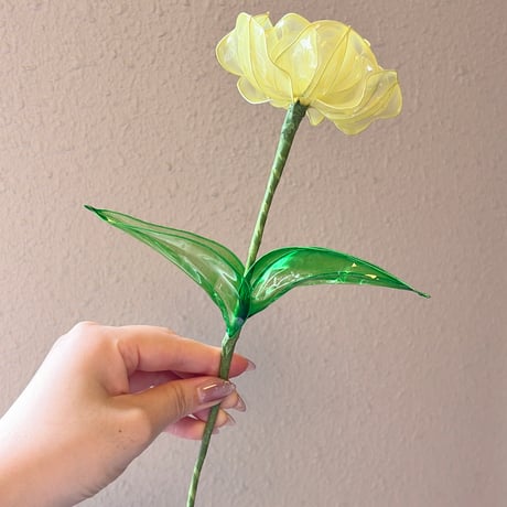 八重咲きチューリップ　1本/3本