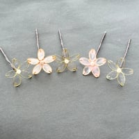 【即納・7日以内に発送】ミニマムセット　全5種