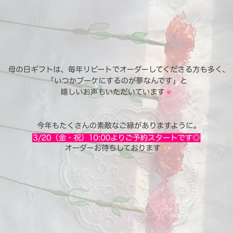 カーネーション　1本/3本
