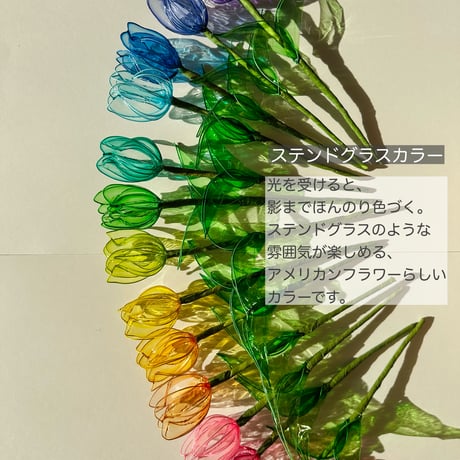 【カラーチャート】