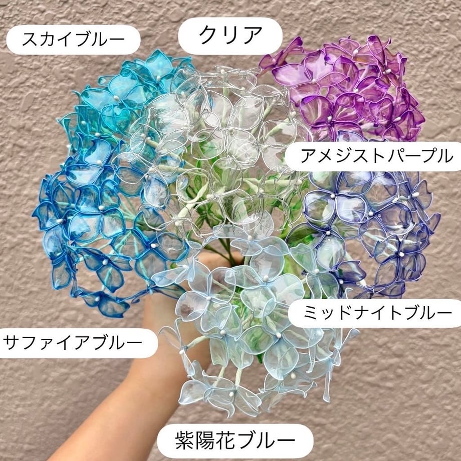 6a1a52550decc706e19f20e1