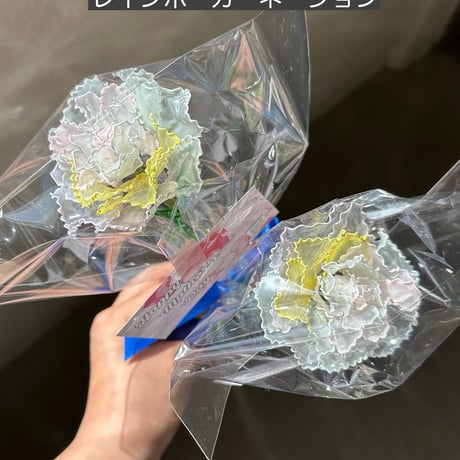 レインボーカーネーション　1本