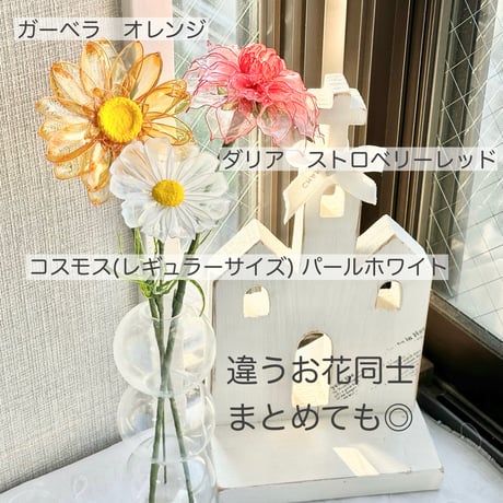 【期間限定・制作日数10日〜】コスモス/ミニコスモス1本