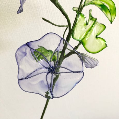 【期間限定デザイン】朝顔　1本
