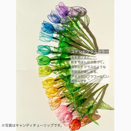 キャンディチューリップ1本/3本
