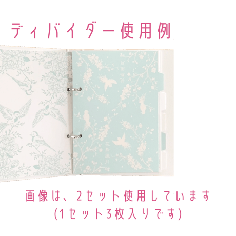 【OUTLET】バインダー＆ディバイダー セット（限定5セット）