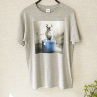 うちのこTシャツ 3枚