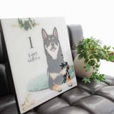 ペットフォトアイテム専門店 STUDIO SIO LIVING