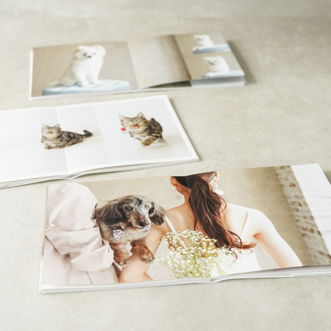 限定フォトブック Amazon.co.jp: ゼベワン グッズ 写真集 Premium Photo Book