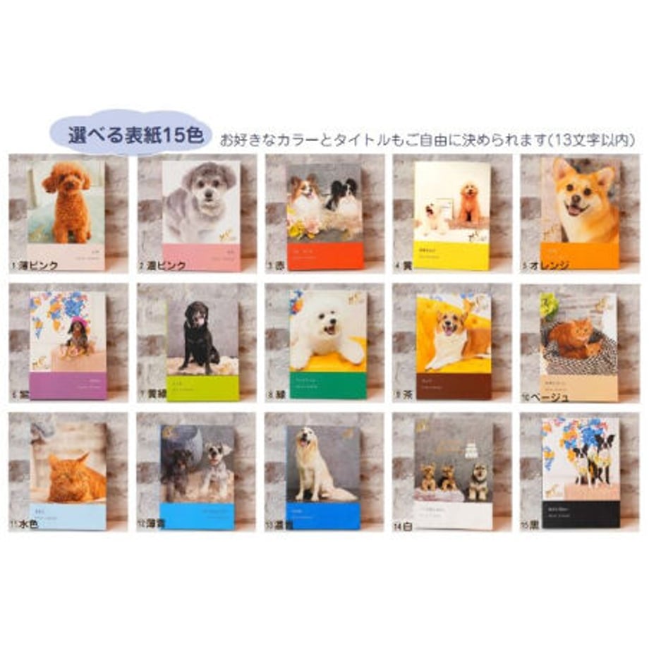 621ee9e57d116119dc6ee365