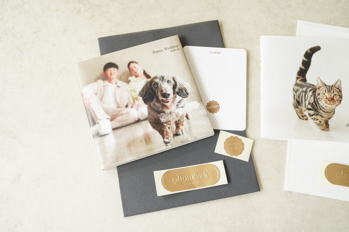 BIBi the first albnm・フォトブックセット BIBi the first albnm・フォトブックセット