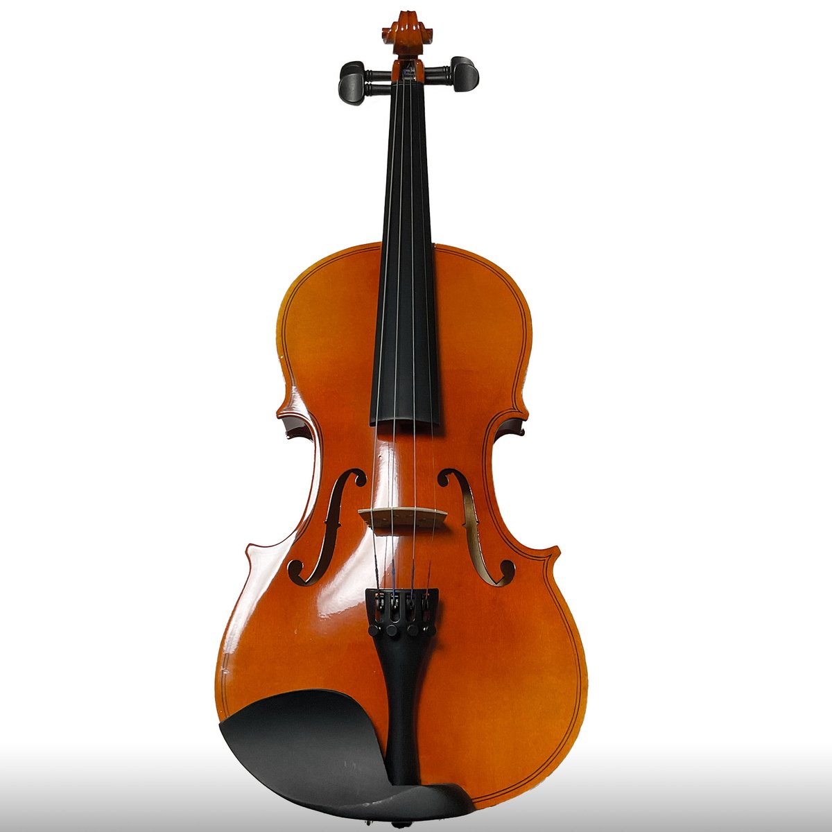 Altezza Violin No.50 アルテッツァバイオリン | 【Altezza Vio...