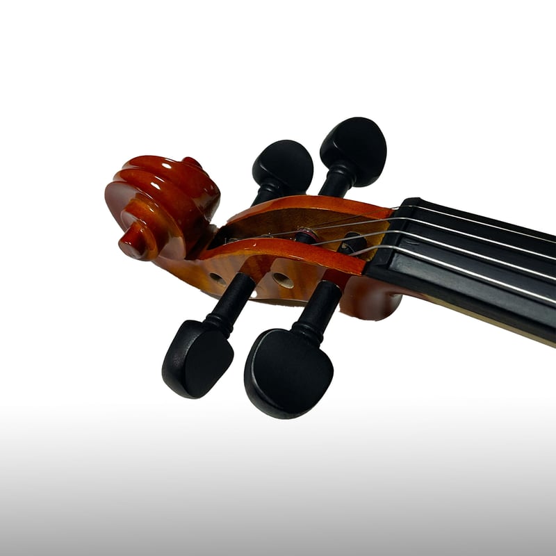 バイオリン Altezza アルテッツァ No.100 4/4 新品弓2本付属