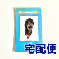 バースデーマジックカード　（通常価格）  【宅配便】