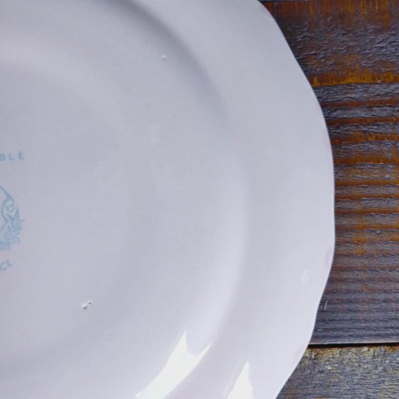 フランスアンティークプレート ピンクの花リムc | フランス