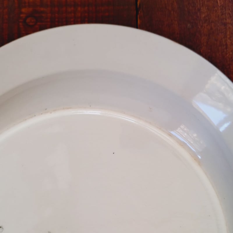 フランスアンティークプレート 白鳥が描かれた美しいレリーフの