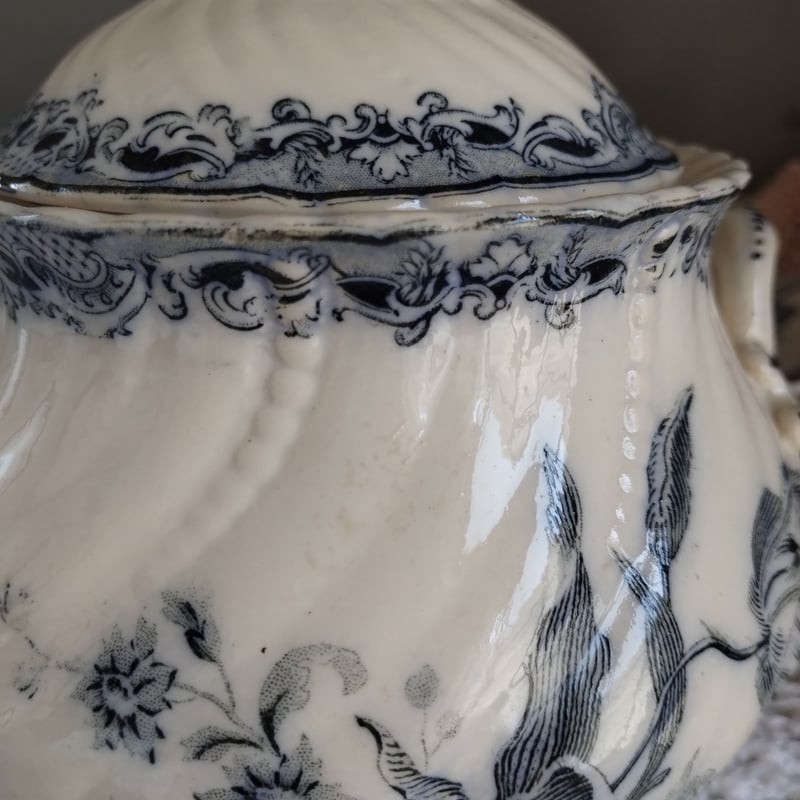 フランスアンティーク シュガーポット サルグミンヌ フォンタンジュ青